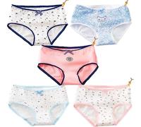SINGUYUN Japanese Anime Panties for Women Girls Soft Cotton Underwear Print Briefs Cosplay Lingerie Cute 5-Pack (YLD, XL)