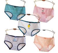 SINGUYUN Japanese Anime Panties for Women Girls Soft Cotton Underwear Print Briefs Cosplay Lingerie Cute 5-Pack (811, XL)