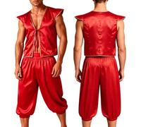 Sinleey Adult Open Front Vest with Harem Pants 2 Piece Set | 2 Pcs Arab Prince Costume,Middle East Arabian Prince Uniforms,Halloween Cosplay Outfit Set,Front Lace Up Vest Closure