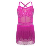 Sinleey Kids Girls Tassel Latin Dance Costume Rhinestone Ballroom Samba Rumba Tango Dance Leotard Fringe Dress Hot Pink 9-10 Years