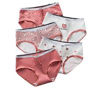 SINMIUANIME Women's Panties Anime Print Underwear Breathable Cotton Brief Sexy Cosplay Lingerie 5-Pack (Dark Red Bear, X-Large)