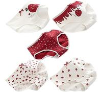 SINMIUANIME Women's Panties Breathable Cotton Brief Cosplay Anime Print Underwear Cute 5-Pack (2801strawberry)