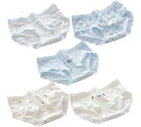 SINMIUANIME Women's Panties Breathable Cotton Brief Cosplay Anime Print Underwear Cute 5-Pack (8015Strawberry Rabbit)