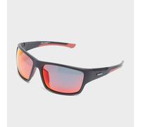 Sinner Lemmon Polarized Sunglasses Black CAT3