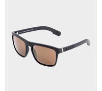 Sinner Thunder X Polarised Sunglasses - Black/Gold, Black/Gold