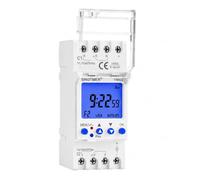 SINOTIMER DC/AC 12V Power 2 Channels Big LCD Display Programmable Timer, Time Switch Dual-Relay, 16A with Blue Backlight