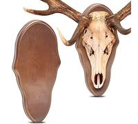 Sintuff 2 Pcs Wooden Deer Skull Mount Display Plaque, Wall Mount, Hunting Trophy Mounts