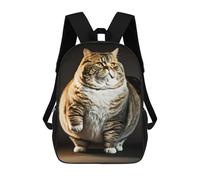 sinyumoney 3D Printed Children's 17inch Grumpy Cat School Backpack High Capacity Travel Book School Bags for Boys Elementary And Middle School Students