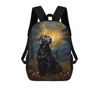 sinyumoney 3D Printed Chocolate Labrador at Nigh School Backpack Book 17inch Bags Fashion Backpacks Large Capacity Backpack Children Travel Rucksacks