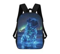 sinyumoney 3D Printed Pug in The Aurora Borealis School Bag Boys Girls Children's School Backpack Casual Fashion Backpack for in School Or Travel 17inch
