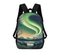 sinyumoney Abisko National Park Aurora Borealis Backpack 3D Printed Children's School Backpack for Kids High Capacity Travel Rucksacks Book Bags Kids School Bag Back Pack 17inch