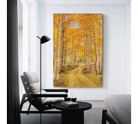 sinyumoney Aspen Pathways Wall Canvas for Living Room for Living Room Kitchen Home Decorations Modern Art Prints 12x18inch(30x45cm)