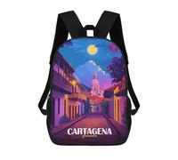 sinyumoney Cartagena Colombia Street View Illustration Backpack School Bag Daypacks Business Backpack Water Resistant Bookbag for Men/Women 17inch