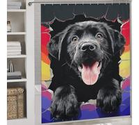 sinyumoney Colorful Dog Breaking Through Wall Art -2 Anti-Mould Proof Resistant Thicken Durable Polyester Hilarious Bath Curtain for Travel Trailer 69.69x70.87Inch（177x180cm）
