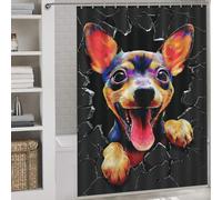 sinyumoney Colorful Dog Breaking Through Wall Shower Curtain Anti Mould Fabric Polyester Bath Curtains for Shower for Kids Women Men 64.17x70.87Inch（163x180cm）
