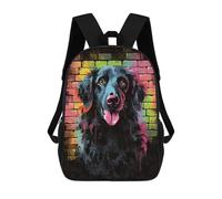 sinyumoney Flatcoated Graffiti Backpacks Kids School Backpack School Bag 3D Printed School Bag for Boys Elementary And Middle School Students 17inch