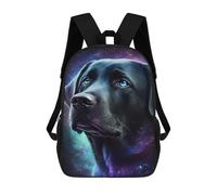 sinyumoney Galactic Labrador Portrait -4 3D Printed Children's School Backpack for Kids High Capacity Travel Rucksacks 17 Inch Book Bags Kids