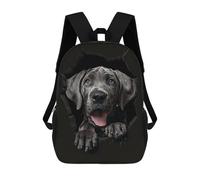 sinyumoney Great Dane Backpack 3D Printed School Bag For Boys High Capacity Travel Backpacks Book Bags Boys School Bag Mochila 17inch