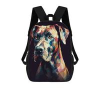 sinyumoney Kids 17inch School Bag Great Dane Abstract Children's School Backpack School Bookbag Fashion Casual Travel Rucksacks 3D Printed Funny Cool Book Bags