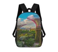 sinyumoney Singapore Backpack School Bag Rucksack Casual Daypacks School Work Travel Bag for Men, Women & Teenage Boys 17inch