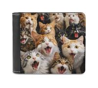 sinyumoney Surprised Cats Compilation-17 3D Print Clutch Purse Credit Cards Coins Slots Note Section Fashion Slim Purse Craftsmanship Gifts 11.7cm*9.5cm