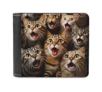 sinyumoney Surprised Cats Compilation-26 3D Print Clutch Purse Card Slots Coin RFID Blocking Slots Note Section Purse Everyday Use 11.7cm*9.5cm