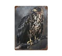 sinyumoney White Tailed Eagle Iron Water Proof Wall Art Decoration for Workshop Train Room Bar Kitchen Decor 15.7"x11.8"