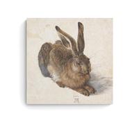 sipfsi Albrecht Dürer Masterpieces(Young Hare, 1502) Interior Upgrades Poster Wall Art Picture Painting Canvas Prints Artworks Bedroom Living Room Decor 12x12inch(30x30cm)