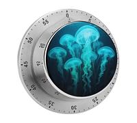 Siphonophore Kitchen Timer 60 Minute Visual Wind Up Timers Indoor Mechanical Timers with Magnetic Base Stainless Steel Timer for Home Cooking Time Management Tool