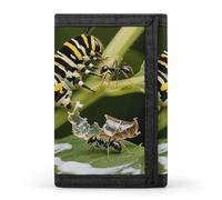 Siphonophore Trifold Wallet Front Pocket Coin Purse - Slim Credit Card Holder for Men & Women, Monarch Caterpillar, One Size, Classic