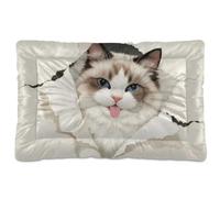 siphylline Cute White Ragdoll Cat Pet Bed Mat Soft Comfortable Anti-Slip Bottom Pet Bed for Medium/Large Dogs 24" x 18"