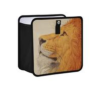 siphylline Leak-Proof Foldable Camp Trash can Waterproof & Odor-Free car Trash can for Back for Women Men Road Trip Essentials 6L - Lion Sketch Orange