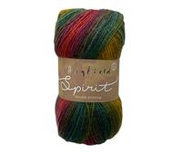 Hayfield Spirit DK, Autumn (415), 100g by Sirdar F252-415