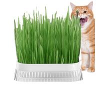 Sirseon Cat Grass Planter,Cat Grass Planting Pot - Pet Cat Sprout Dish Growing Pot, Hydroponic Plant Pot, Cat Grass Germination Dish, Greenhouse Grow Box for Indoor