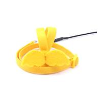 Sirxlevcy Yellow Parrot Bird Leash Outdoor Adjustable Harness Training Rope Anti Bite Flying Band Soft Comfortable Parrot Leash