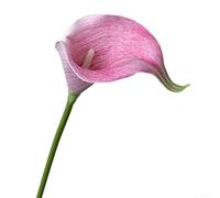 Sisinkal 5 Pieces Artificial Calla Lily Bouquet Realistic Faux Flowers Arrangement with Long Stems for Indoor Outdoor Wedding Party Table Centerpiece Home Office Decoration(Pink)