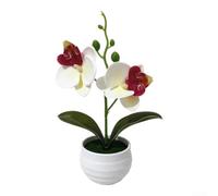 SiSinkal Miniature 2-Head Phalaenopsis Orchid Flower Pot Realistic Artificial Faux Plant for premium Film Material 6.9 Inch for Home Table Wedding Office Photography(A)
