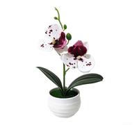 SiSinkal Miniature 2-Head Phalaenopsis Orchid Flower Pot Realistic Artificial Faux Plant for premium Film Material 6.9 Inch for Home Table Wedding Office Photography(F)