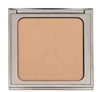 Sisley - Blur Expert Perfecting Smoothing Powder 11g/0.38oz