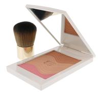 Sisley Phyto Touche Sun Glow Powder With Brush - # Trio Miel Cannelle 11g/0.38oz