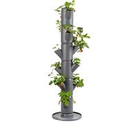 GUSTA GARDEN Sissi Strawberry Strawberry Tree Classic Anthracite - Strawberry Raised Bed System with Wall Mount - Garden & Balcony - 113 cm height - 15L Soil Capacity