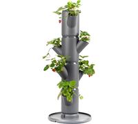 Sissi Strawberry - Planter/Pot/Plant Tower/Raised Bed for Strawberries - for Balcony, Garden and Patio - Plant Strawberries and Herbs (starter, anthracite/gray)