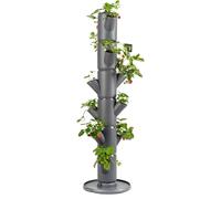 GUSTA GARDEN Sissi Strawberry Strawberry Tree Classic Anthracite - Strawberry Raised Bed System with Wall Mount - Garden & Balcony - 113 cm height - 15L Soil Capacity
