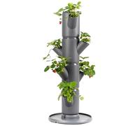 Sissi Strawberry - Planter/Pot/Plant Tower/Raised Bed for Strawberries - for Balcony, Garden and Patio - Plant Strawberries and Herbs (starter, anthracite/gray)