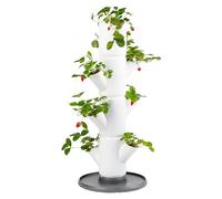 Sissi Strawberry - Planter/Pot/Plant Tower/Raised Bed for Strawberries - for Balcony, Garden and Patio - Plant Strawberries and Herbs (starter, white)