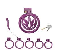 Sissy Chastity Cage for Men Pink Chastity Devices Lock Design Small Chastity Cage Male Penis Cage Cock Cage BDSM Toys for Couples Sex (Purple,WX-5)