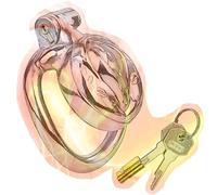 Sissy Men Flat Metal Cage, Male Flat Disguise Devices for Cross-Dressing Role Play - HA06 (45mm Ring)