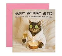 Sister Birthday Card - Cat Spa Relaxing with Cake - Cute Greeting Card for Sisters Sibling Sib Sis Stepsis Her Girls Ladeis Women Family - Chill time for the stressed -Comes with Stickers