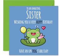 Sister Birthday Card - Cute Frog - Happy Birthday Card for Sister from Brother Sibling, 145mm Bday Greeting Cards