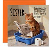 Sister Birthday Card - Working on Something Special - Happy Birthday Card for Sister from Brother Sibling, 145mm Funny Cat Litter Tray Humour Bday Greeting Cards
